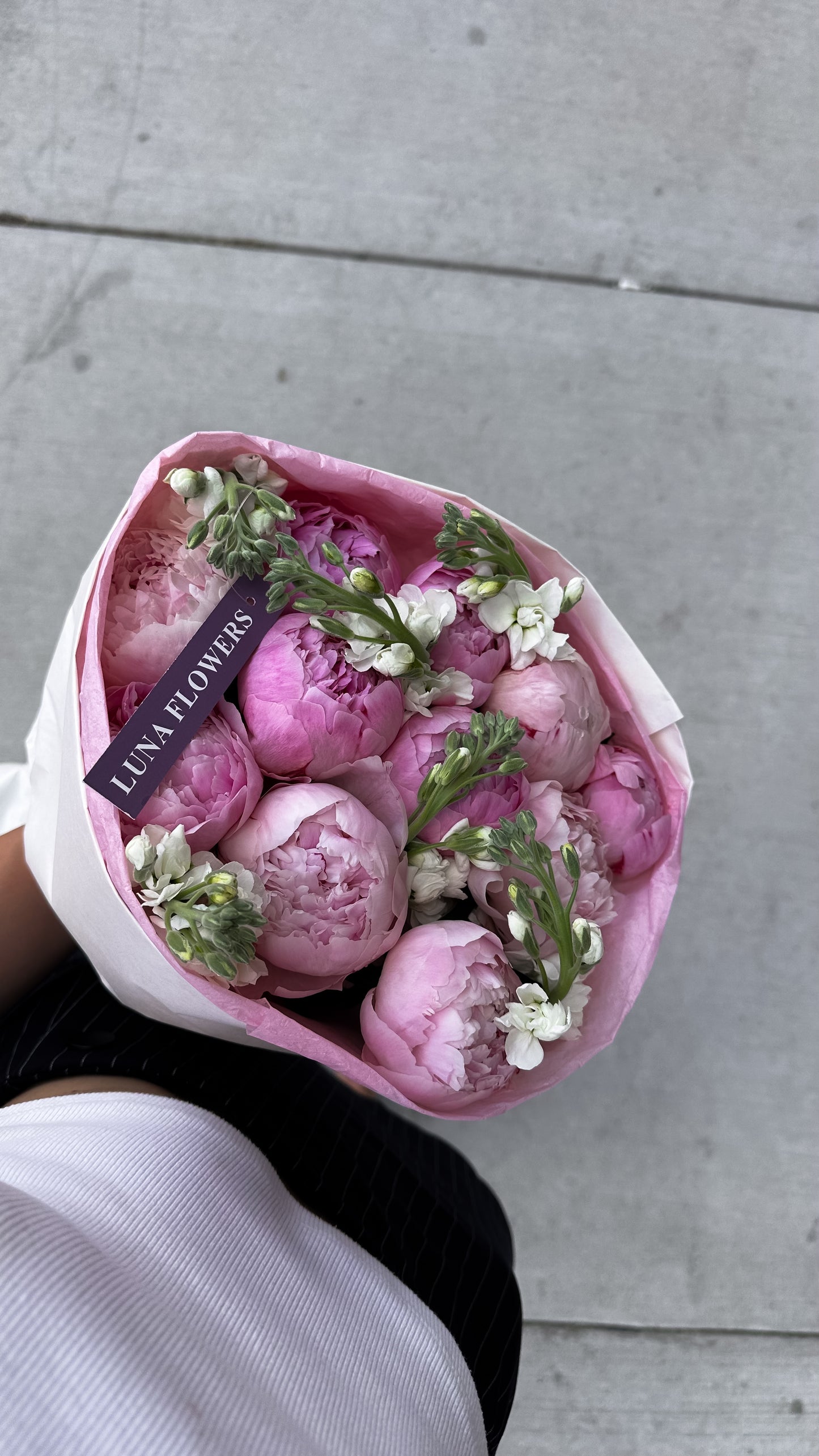 Cute Peonies