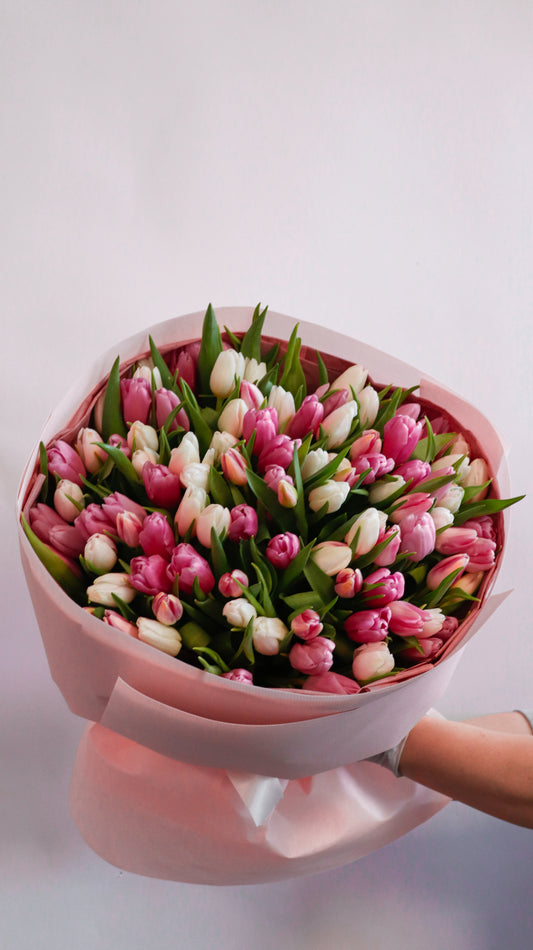 101 Tulips