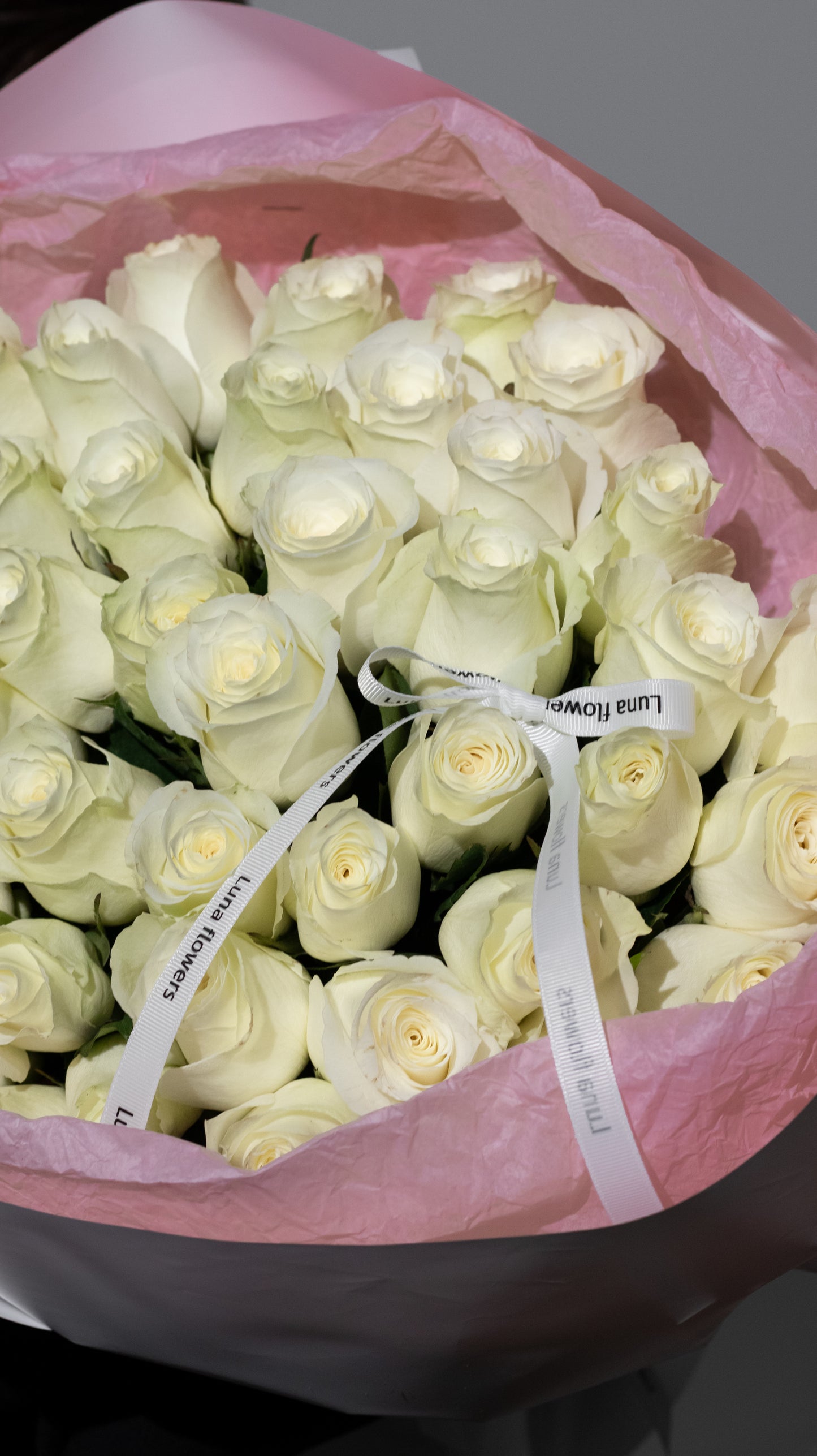 50 White Roses