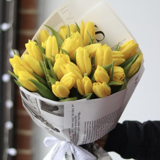 Yellow tulips