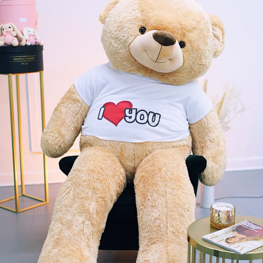 Large Teddy Bear