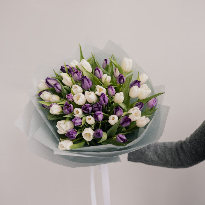 51 White & Purple Tulips